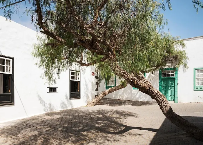 Casa Arboles - Lanzarote *