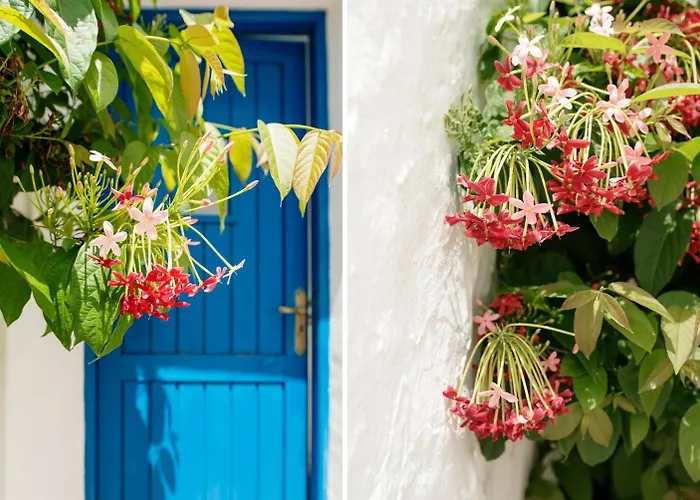 Casa Arboles - Lanzarote