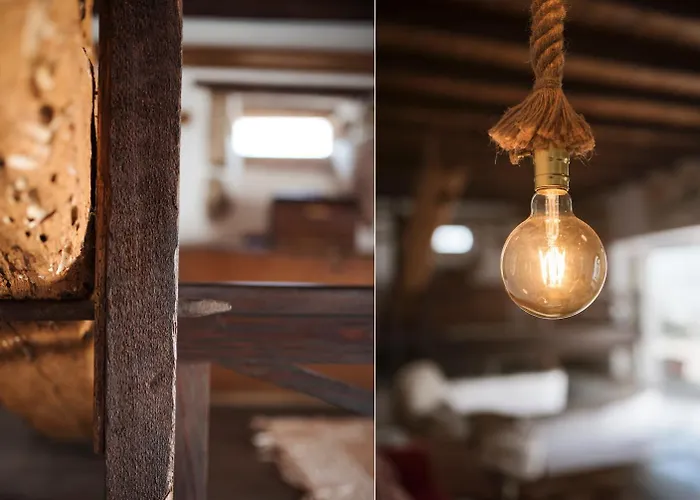 Casa árboles - Lanzarote *